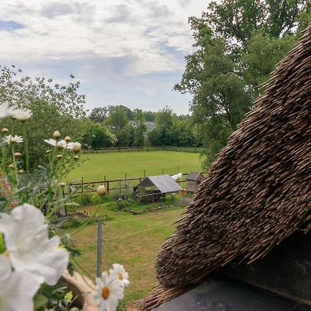 Apartmán Het Grote Paard Havelte Exteriér fotografie