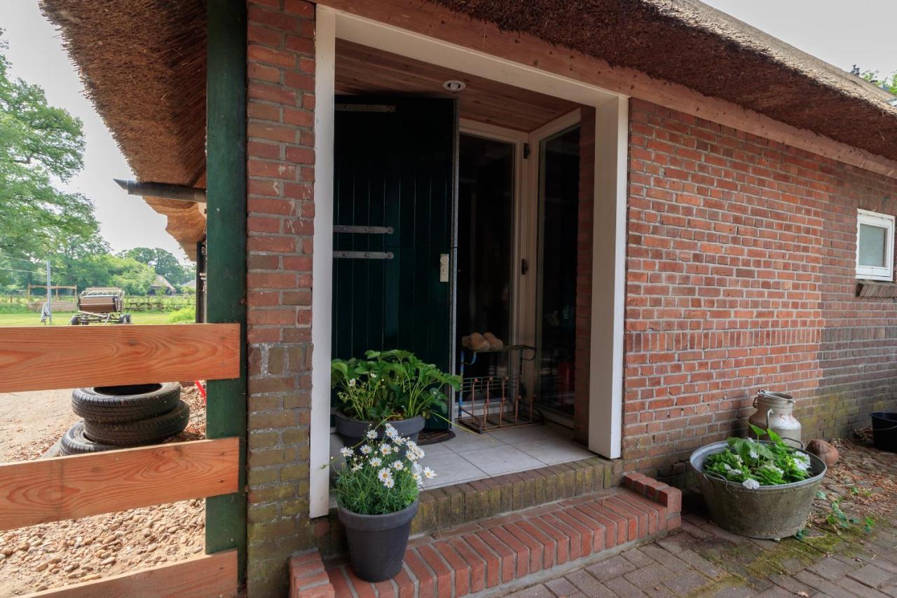 Apartmán Het Grote Paard Havelte Exteriér fotografie