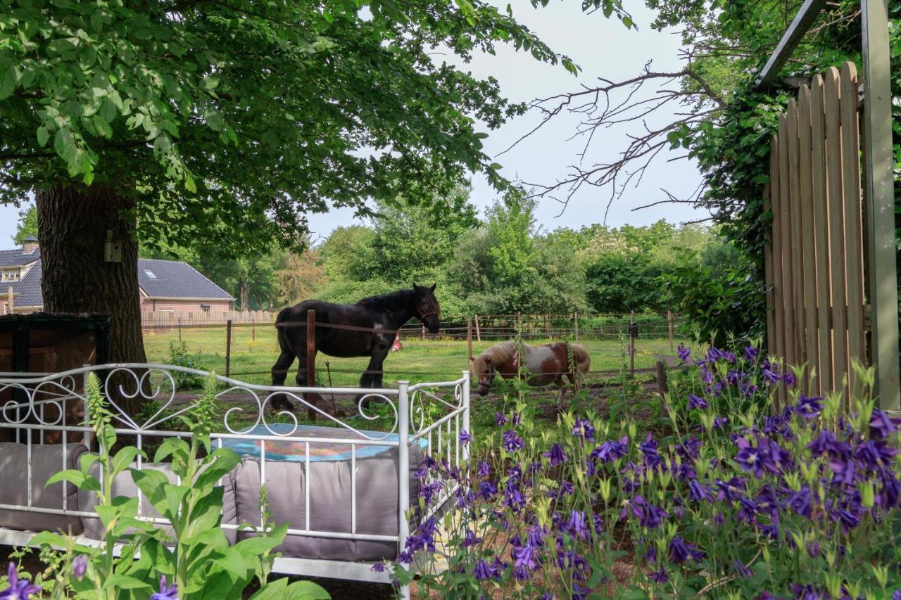 Apartmán Het Grote Paard Havelte Exteriér fotografie