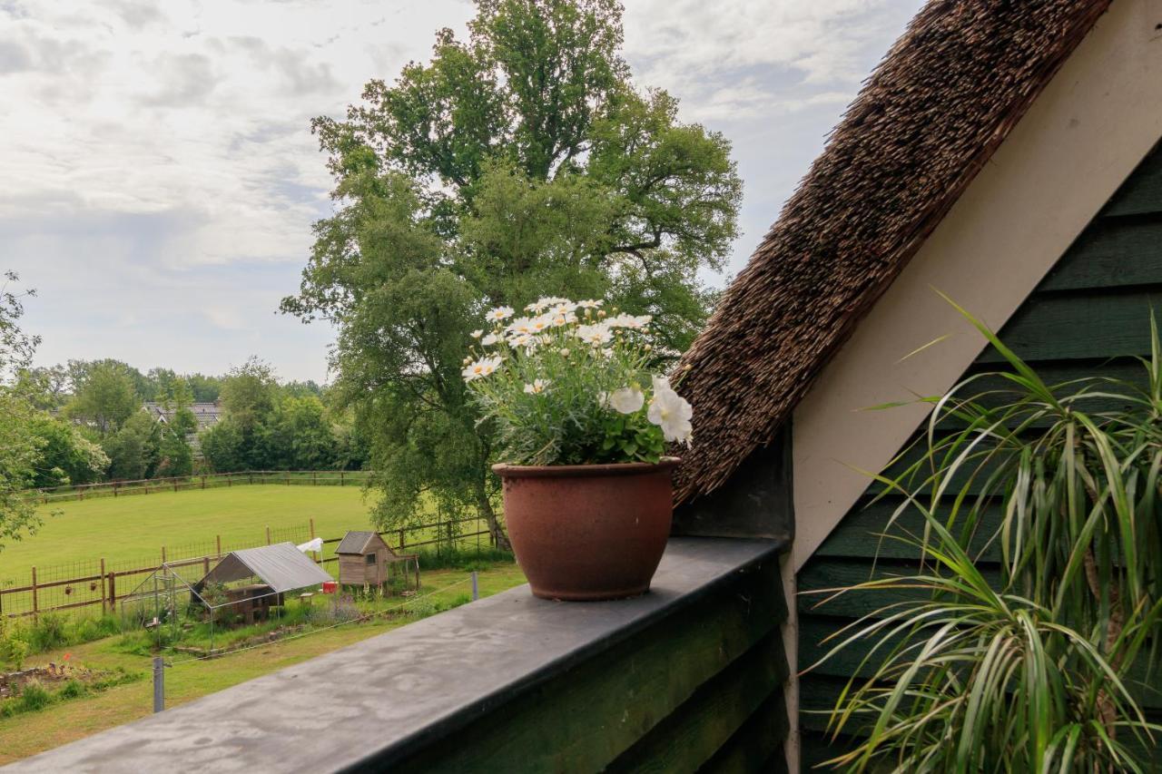 Apartmán Het Grote Paard Havelte Exteriér fotografie