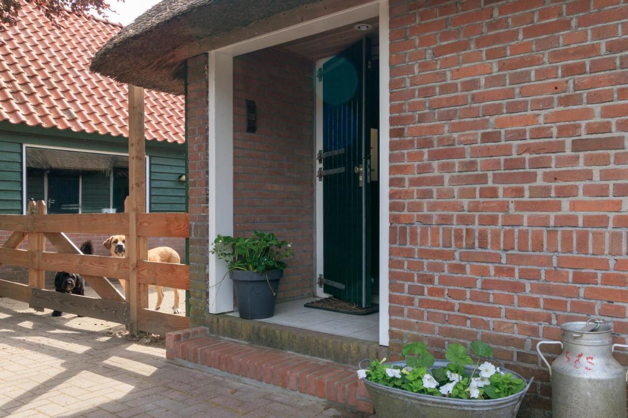 Apartmán Het Grote Paard Havelte Exteriér fotografie