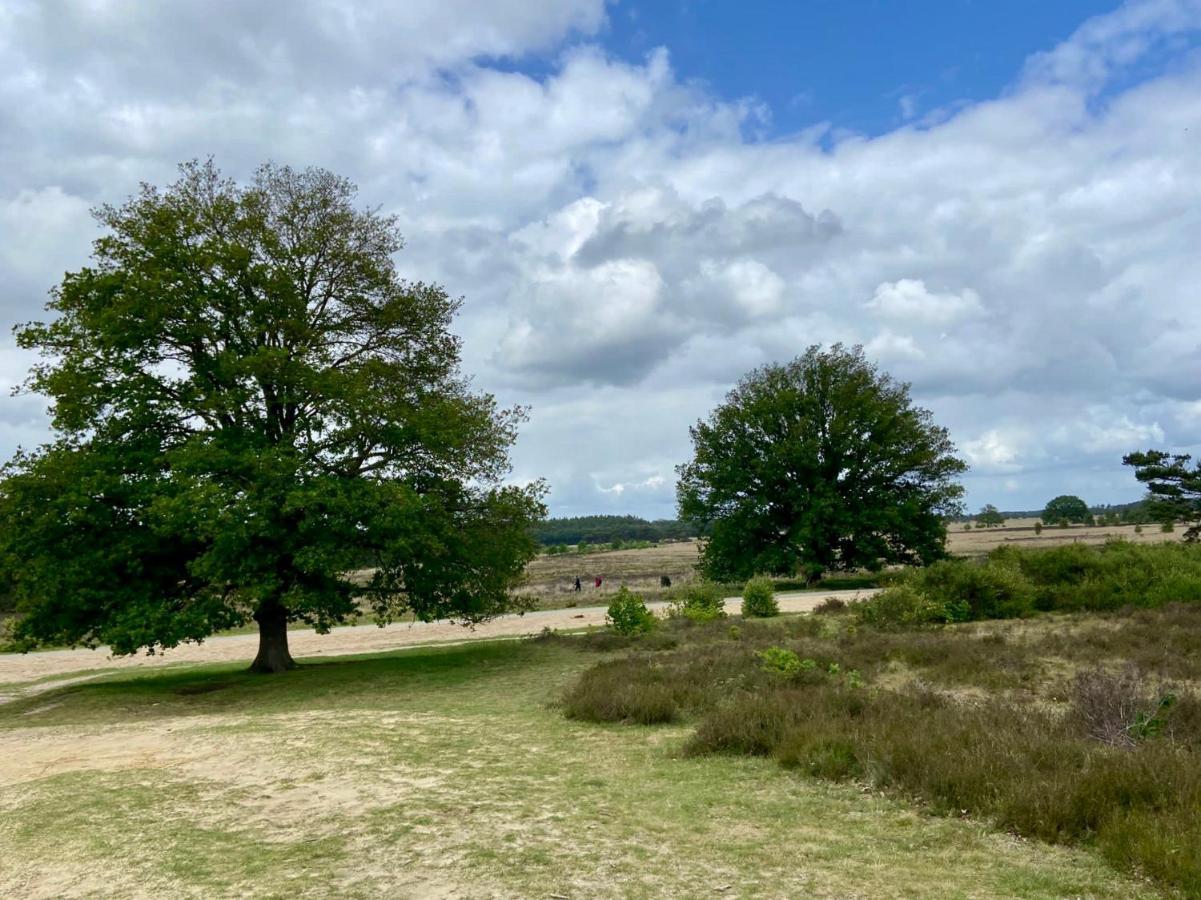 Apartmán Het Grote Paard Havelte Exteriér fotografie